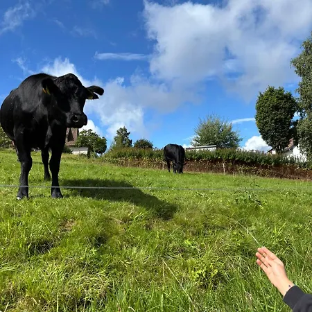 Bergfreiheit 7 Отель *