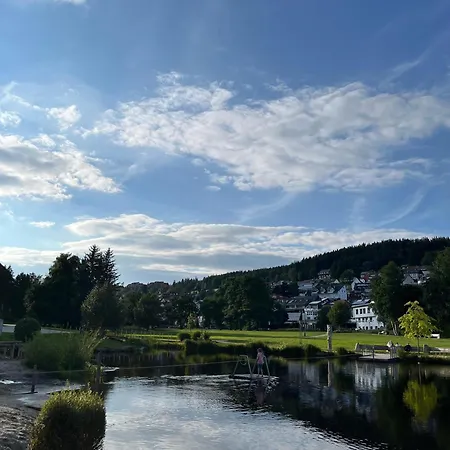 Отель Bergfreiheit 7 Schonach im Schwarzwald