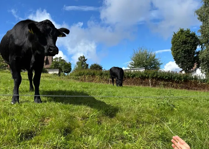 Bergfreiheit 7 Ξενοδοχείο *